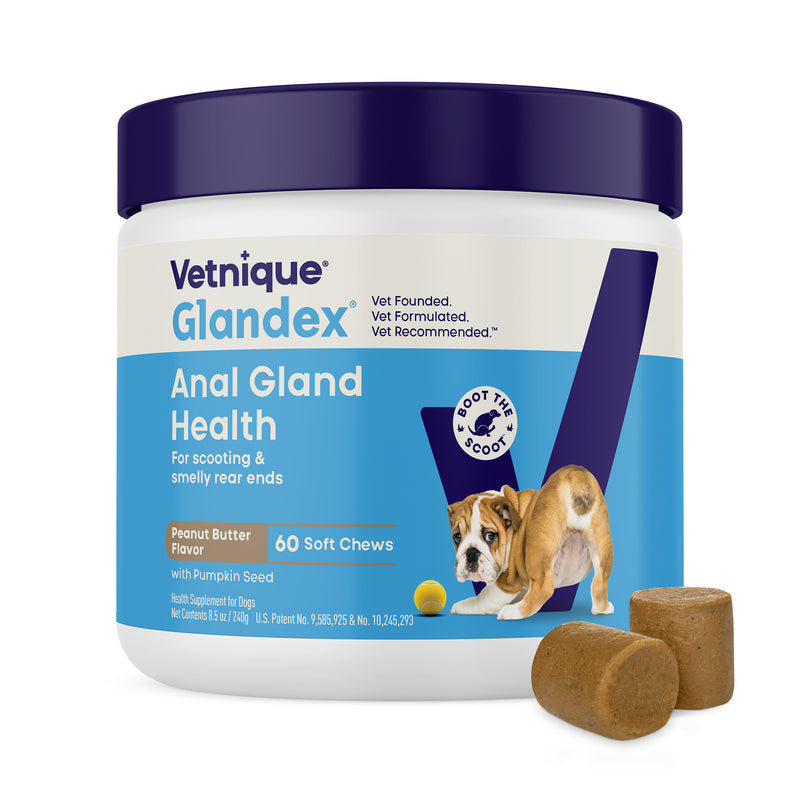 Vetnique Glandex for Dogs Anal Gland & Digestive Support Soft Chews, Peanut Butter, 60ct
