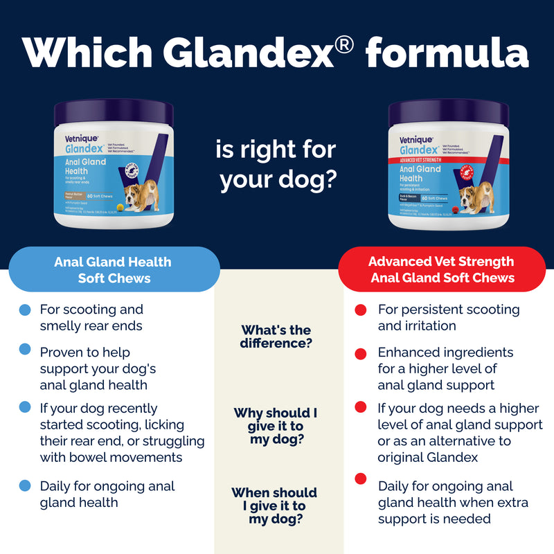 Vetnique Glandex for Dogs Anal Gland & Digestive Support Soft Chews, Peanut Butter, 60ct