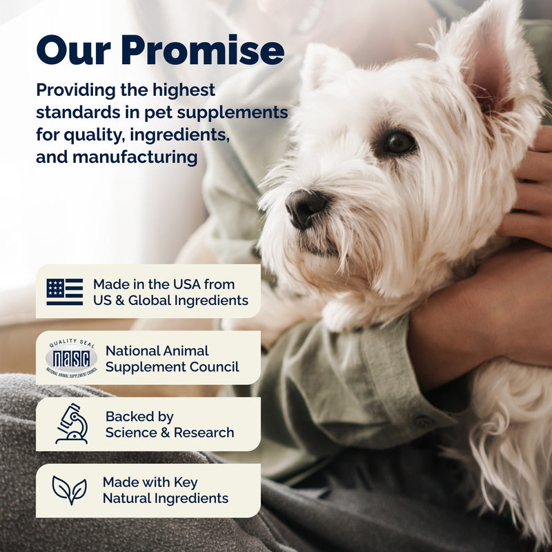 Vetnique Glandex for Dogs Anal Gland & Digestive Support Soft Chews, Peanut Butter, 60ct