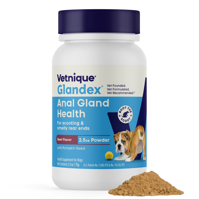 Vetnique Glandex for Dogs Anal Gland & Digestive Support Powder, Beef Flavor, 2.5 oz