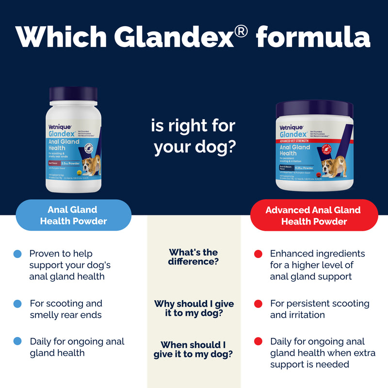 Vetnique Glandex for Dogs Anal Gland & Digestive Support Powder, Beef Flavor, 2.5 oz