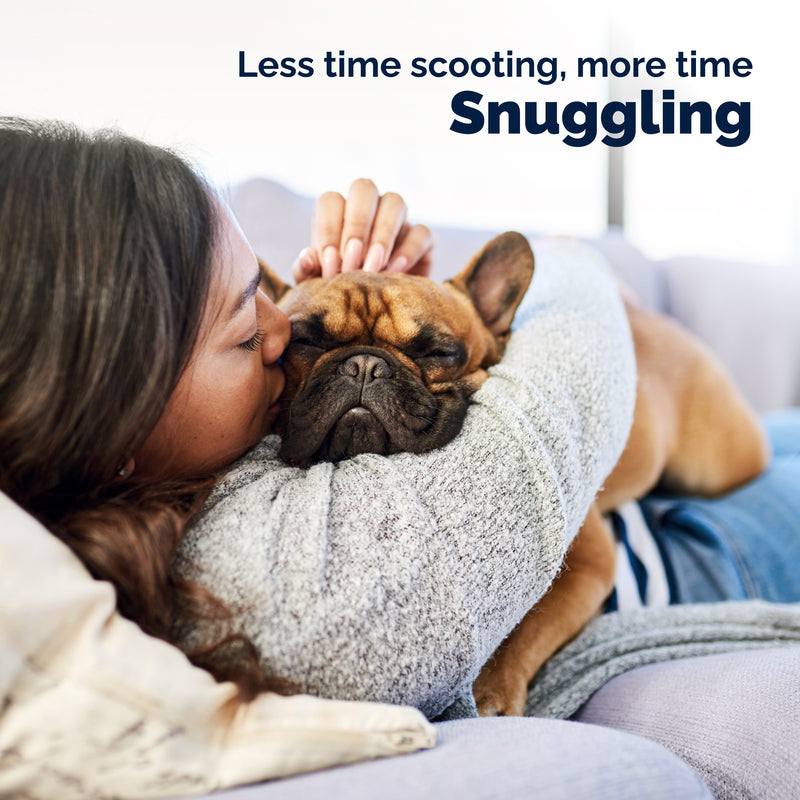 Vetnique Glandex for Dogs Anal Gland & Digestive Support Powder, Beef Flavor, 2.5 oz