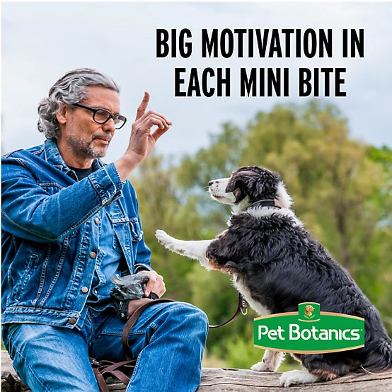 Pet Botanics Training Rewards Bacon Dog Treats, 20 oz.