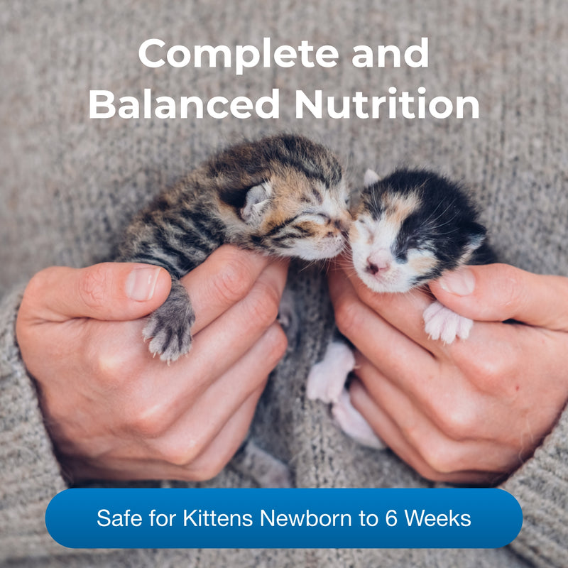 PetAg's PETLAC Kitten Powder 10.5oz