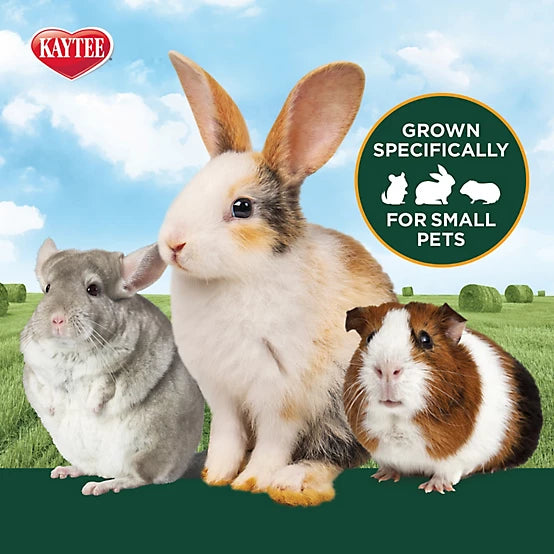 Kaytee Timothy Hay Small Animal Treat, 96 oz.