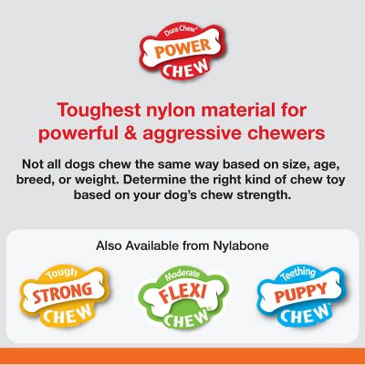 Nylabone Marrow Beef Flavor Dog Chew Toy, L
