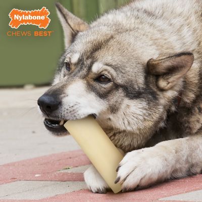 Nylabone Marrow Beef Flavor Dog Chew Toy, L
