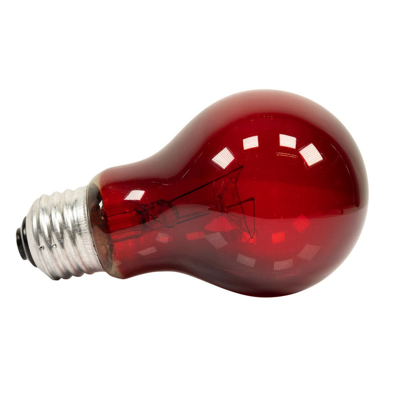 Zoo Med Nightlight Red™ Reptile Bulb