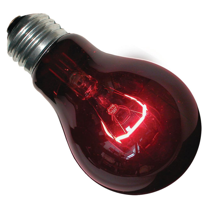 Zoo Med Nightlight Red™ Reptile Bulb
