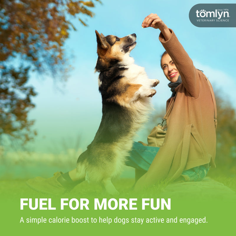 Tomlyn Nutri Cal Dog Supplements