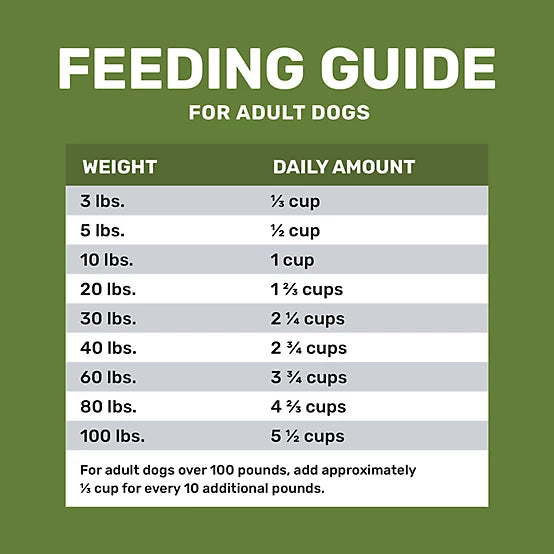 4health with Wholesome Grains Adult Lamb and Rice Formula Dry Dog Food, 45lb