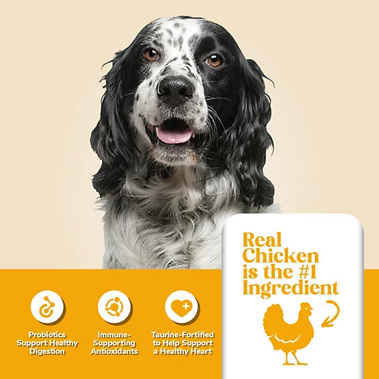 4health with Wholesome Grains Adult Chicken and Rice Formula Dry Dog Food, 45lb