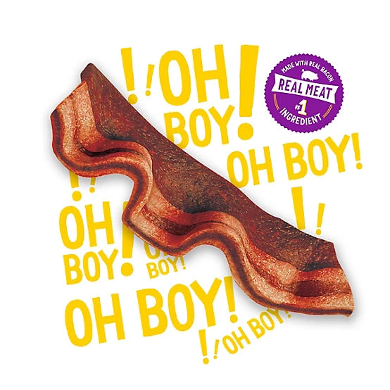 Purina Beggin' Strips Hickory Flavored Dog Treats, 40 oz.