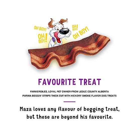 Purina Beggin' Strips Hickory Flavored Dog Treats, 40 oz.