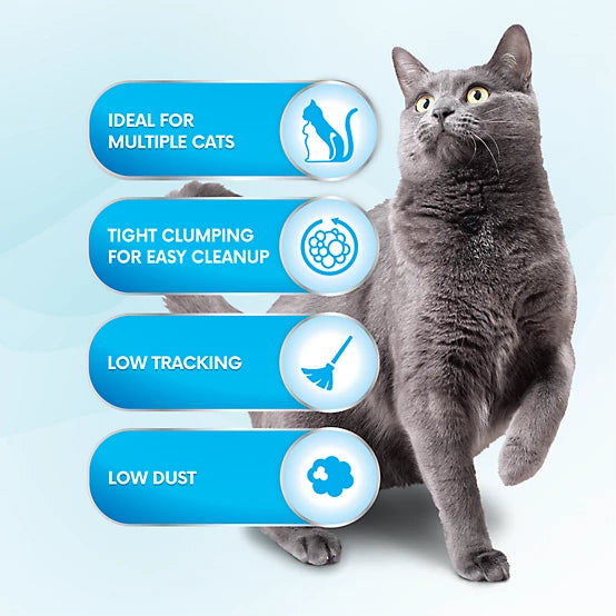 Paws & Claws Fresh-N-Free Unscented Clumping Cat Litter, 35 lb. Pail