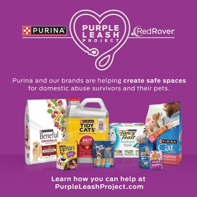 Purina Busy Bone Mini Chew Treats for Small Dogs, 21 oz.
