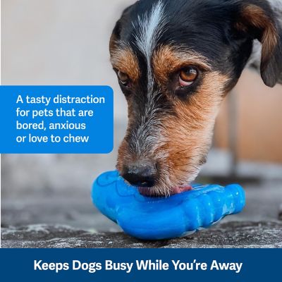 PetSafe Freezable Treat Holding Chilly Penguin, Medium/Large