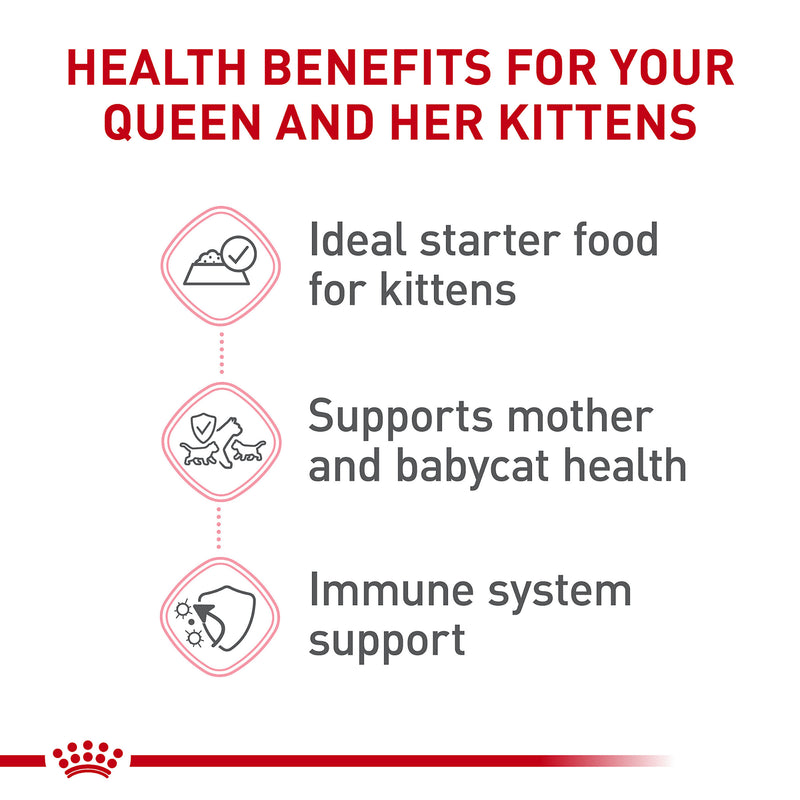 Royal Canin® Feline Health Nutrition™ Mother & Babycat Ultra Soft Mousse In Sauce Canned Cat Food, 5.1 oz