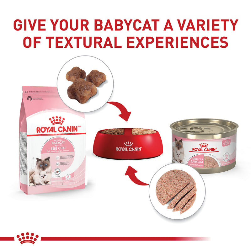 Royal Canin® Feline Health Nutrition™ Mother & Babycat Ultra Soft Mousse In Sauce Canned Cat Food, 5.1 oz