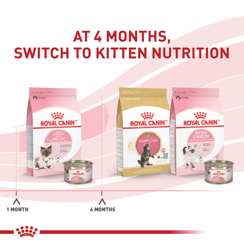 Royal Canin® Feline Health Nutrition™ Mother & Babycat Ultra Soft Mousse In Sauce Canned Cat Food, 5.1 oz