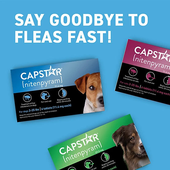 Capstar Flea Control Tablets for Dogs 2-25 lb., 6 ct.