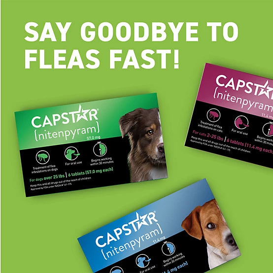 Capstar Flea Control Tablets for Dogs 25 lb. and Up, 6 ct.