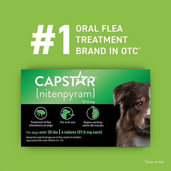 Capstar Flea Control Tablets for Dogs 25 lb. and Up, 6 ct.