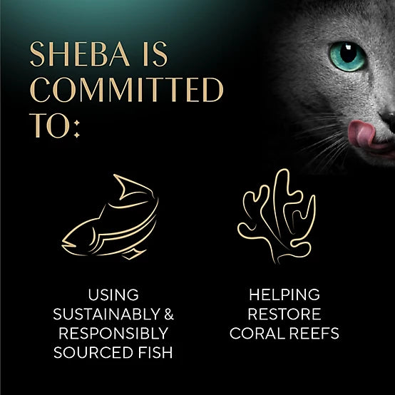 Sheba Perfect Portions All Life Stages Signature Seafood Wet Cat Food Variety Pack, 2.6 oz., Pack of 24 Twin-Pack Trays