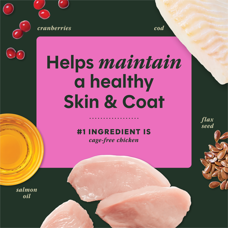 Instinct Raw Boost Mixers Grain Free Skin & Coat Health Freeze Dried Raw Dog Food Topper