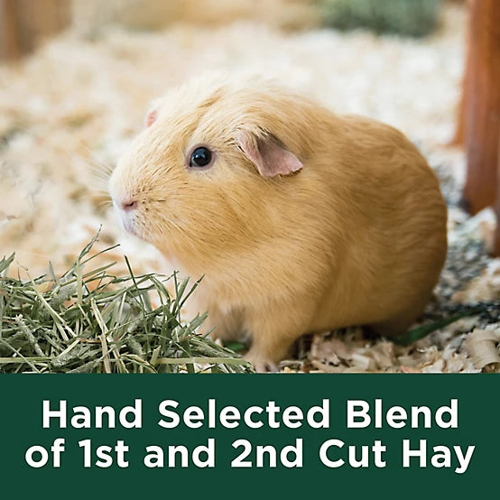 Kaytee Timothy Hay Plus Small Animal Treats, 24 oz.