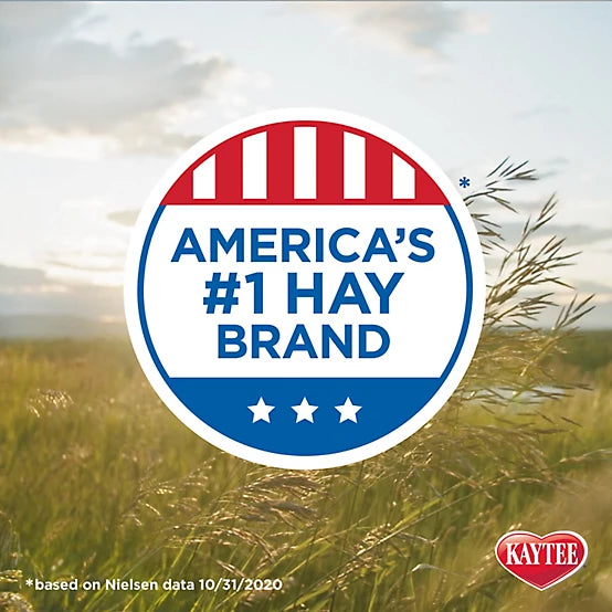Kaytee Timothy Hay Plus Small Animal Treats, 24 oz.