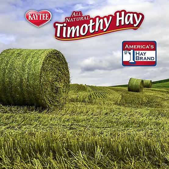 Kaytee Timothy Hay Plus Small Animal Treats, 24 oz.