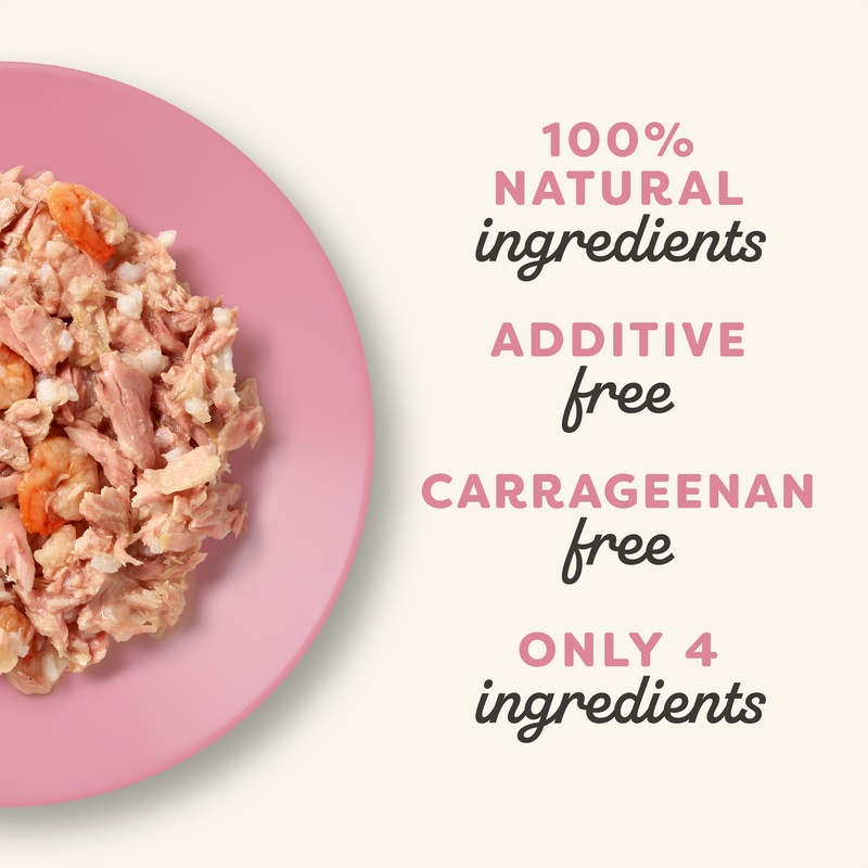 Applaws Cat Pot 2.12oz Tuna Fillet with Shrimp