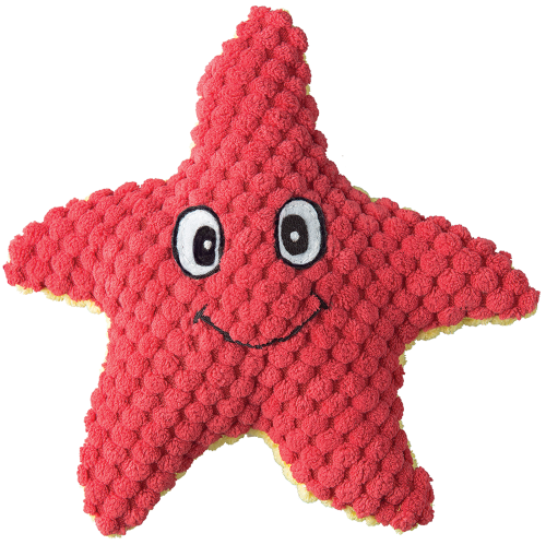 Patchwork Pet Starfish Dog Toy