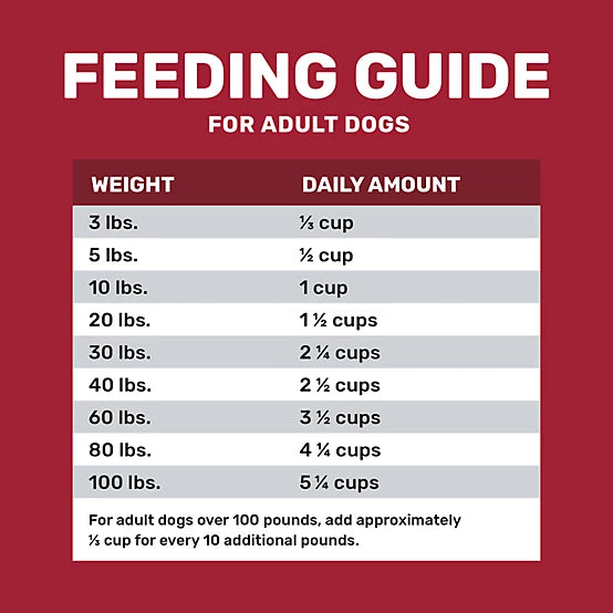 4health Grain Free Adult Beef and Potato Formula Dry Dog Food, 40lb