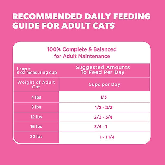 Iams Proactive Health Adult Indoor/Outdoor Sensitive Digestion and Skin Turkey Recipe Dry Cat Food, 13lb