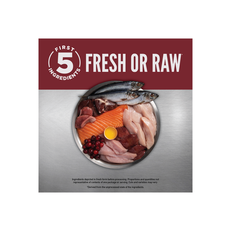 ORIJEN Small Breed Dog 10LB