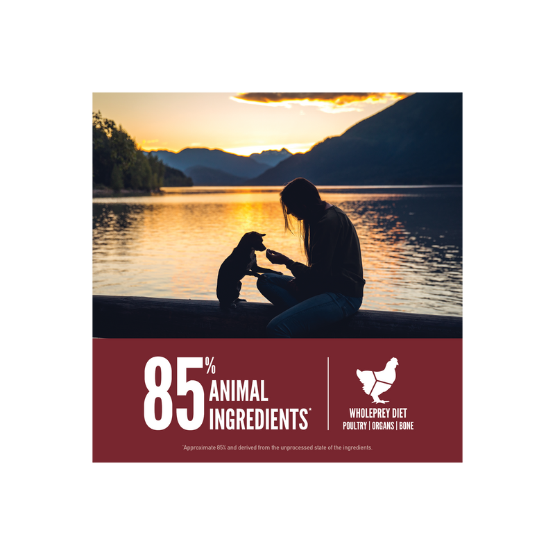 ORIJEN Small Breed Dog 10LB