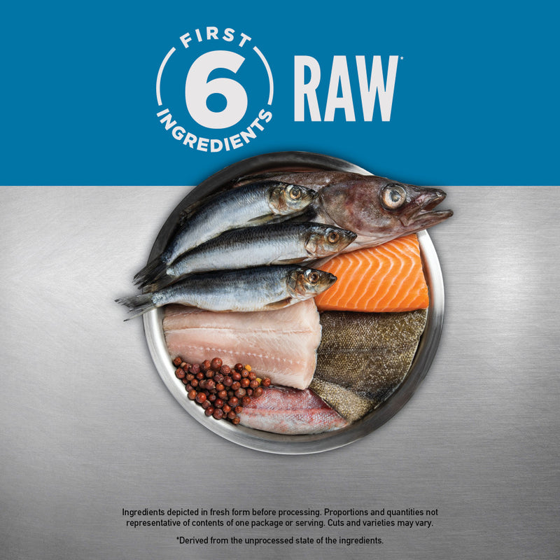 ORIJEN Grain Free High Protein Premium Dry Cat Food Six Fish Recipe 12lb Bag