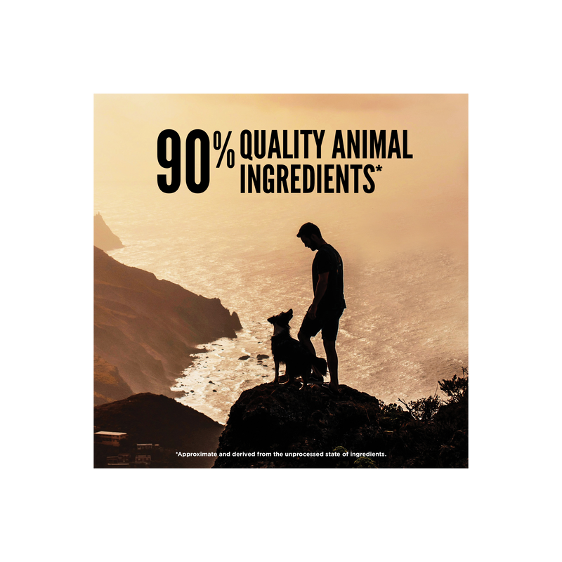 ORIJEN Regional Red Freeze-Dried Food 16OZ