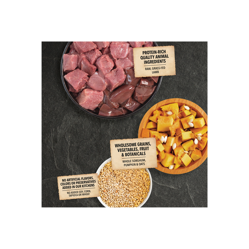 ACANA Wholesome Grains Lamb & Pumpkin 22.5lb