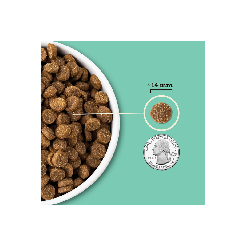 ACANA Wholesome Grains Lamb & Pumpkin 22.5lb