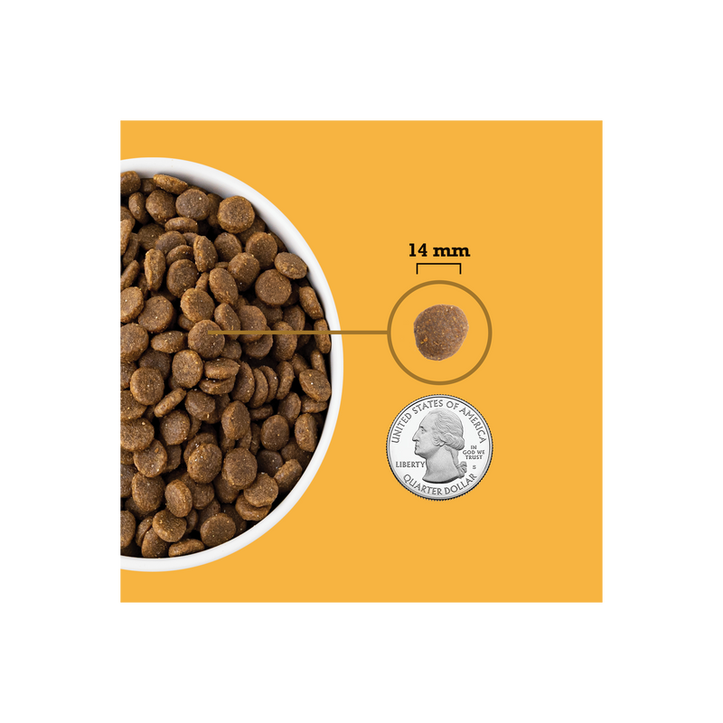 ACANA Dog Free-Run Poultry Recipe 4.5LB