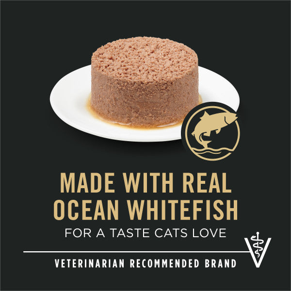 Purina Pro Plan Urinary Tract Cat Food Wet Pate, Urinary Tract Health Ocean Whitefish Entree - 5.5 oz. Can
