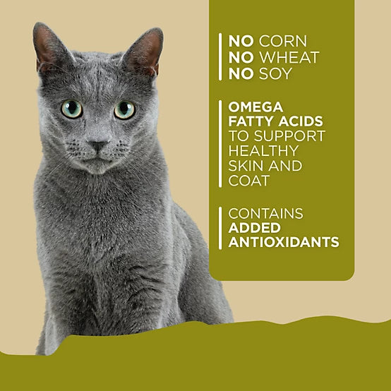 4health with Wholesome Grains Adult Chicken and Rice Dinner Wet Cat Food, 5.5 oz.