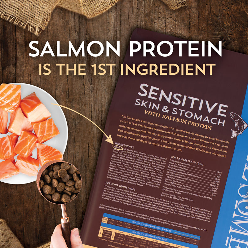Wholesomes Sensitive Skin & Stomach with Salmon Protein Dry Dog Food 30 lb