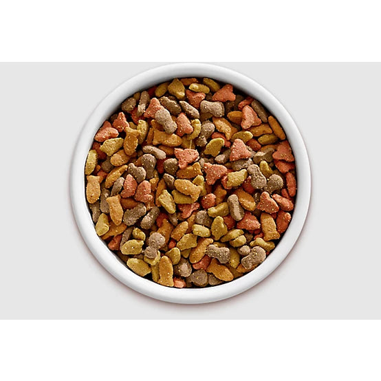 Meow Mix Original Choice Adult Ocean Fish, Chicken, Salmon and Turkey Recipe Dry Cat Food, 6.3lb