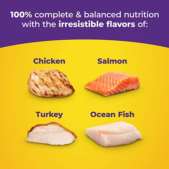 Meow Mix Original Choice Adult Ocean Fish, Chicken, Salmon and Turkey Recipe Dry Cat Food, 6.3lb