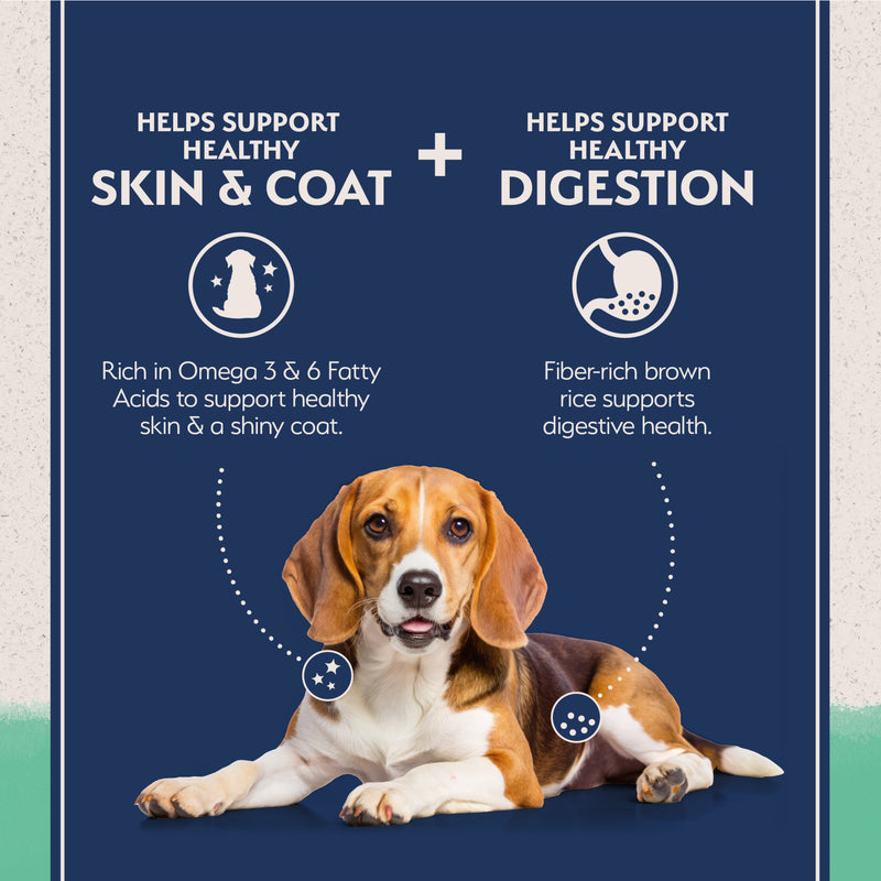 Natural Balance Limited Ingredient Grain Free Dry Dog Food, Chicken & Sweet Potato Recipe, 12 lbs.