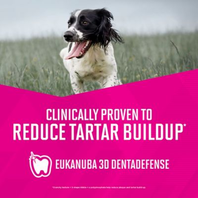 Eukanuba Weight Control Small Breed Dry Dog Food, 4 lb.